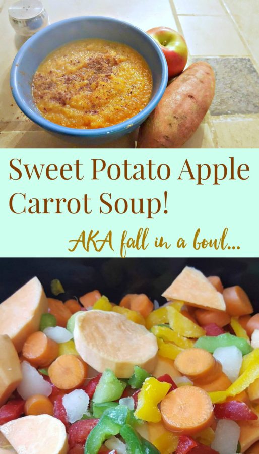 Sweet Potato Apple Carrot Soup! (AKA fall in a bowl)