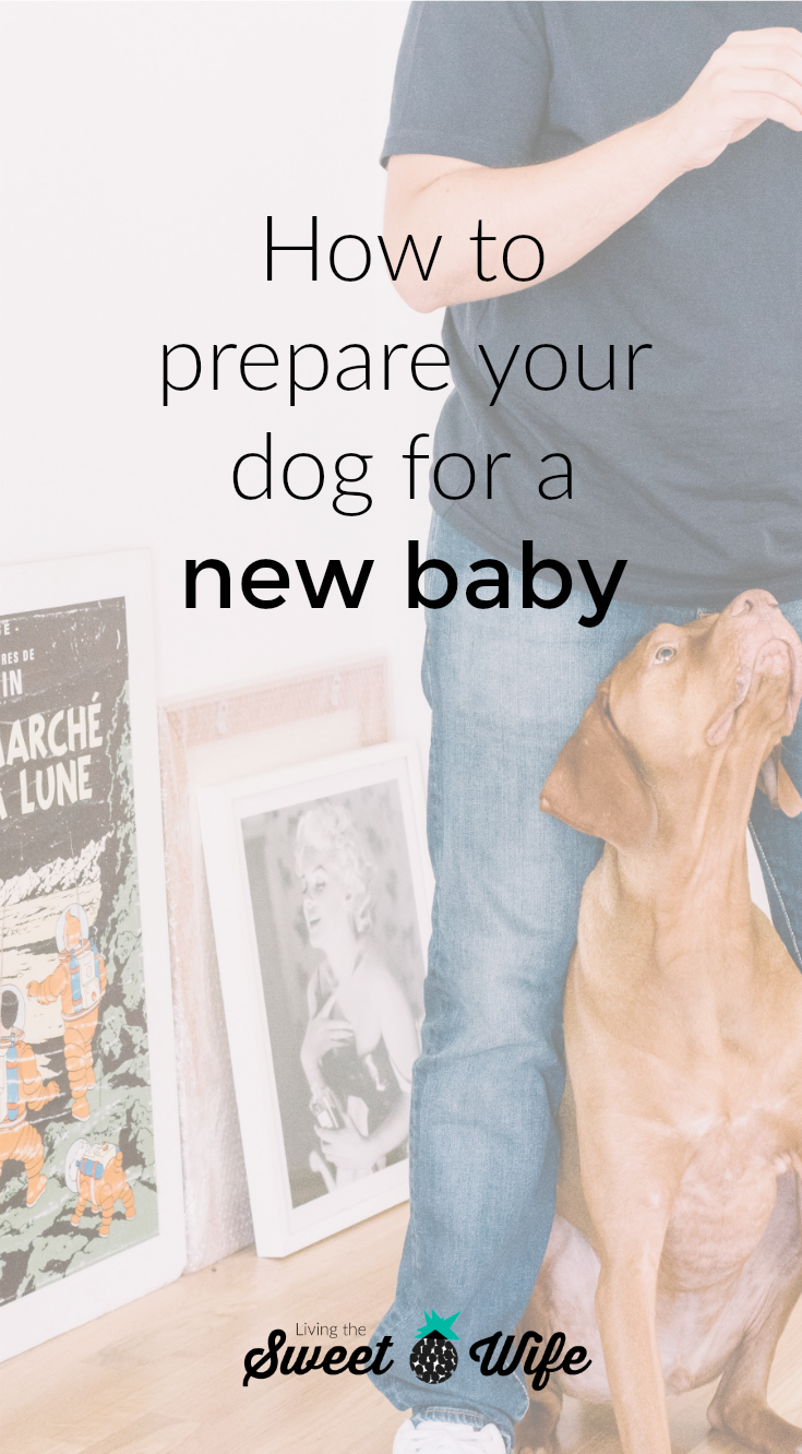 Bringing home a new baby can be an exciting AND scary time! Every member of your family, including the furry ones, are going to face a lot of changes and at times, if can be hard for dogs to cope- even the most family-friendly ones! But don’t lose hope, there are several ways you can prepare your dog for the arrival of a newborn before and during the transition.