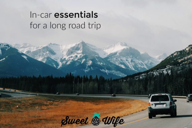 In-Car Essentials For a Long Road Trip - Living the Sweet Wife